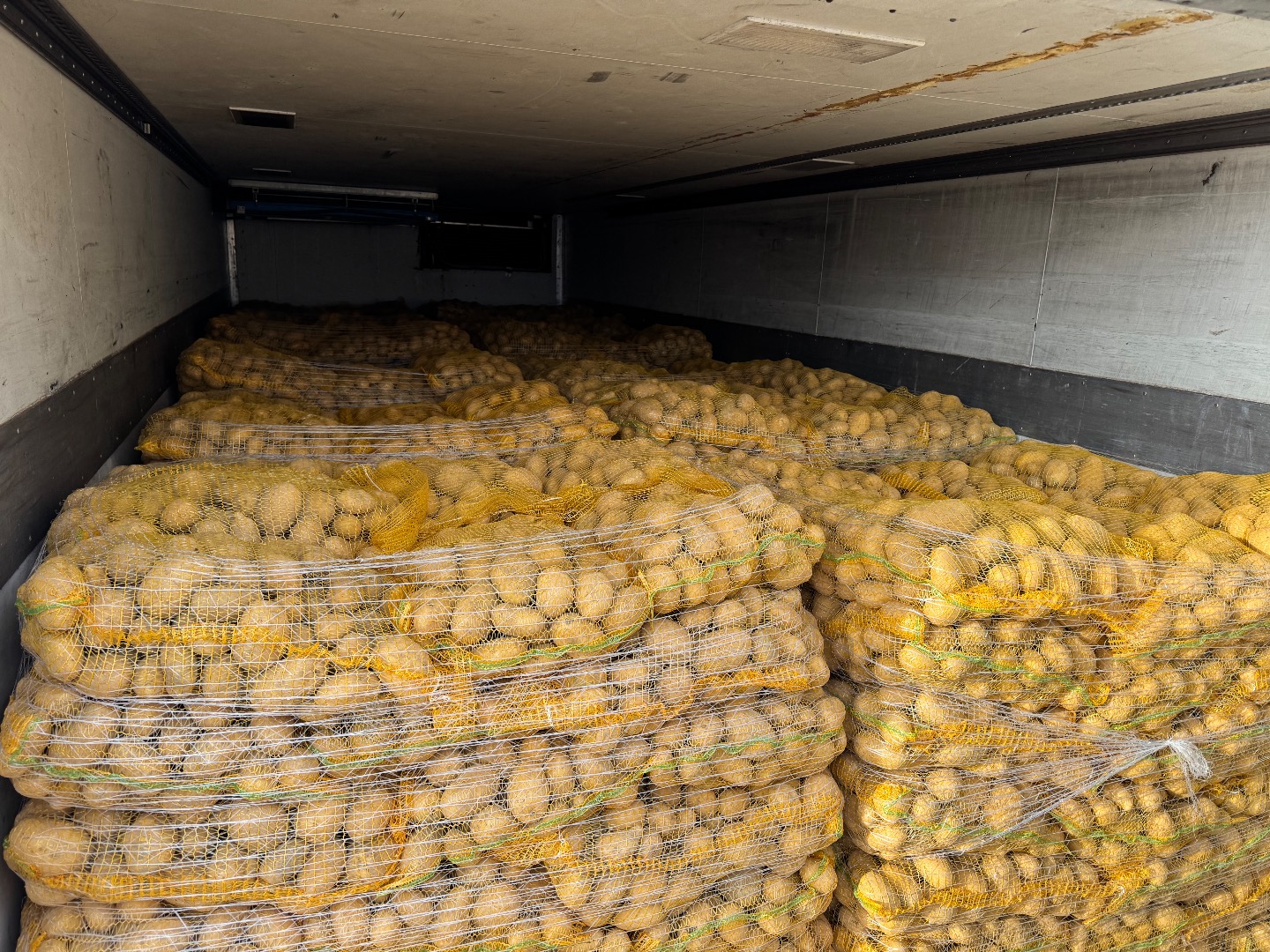 Oferujmy Ziemniaki Soraya pakowane w worki 15kg