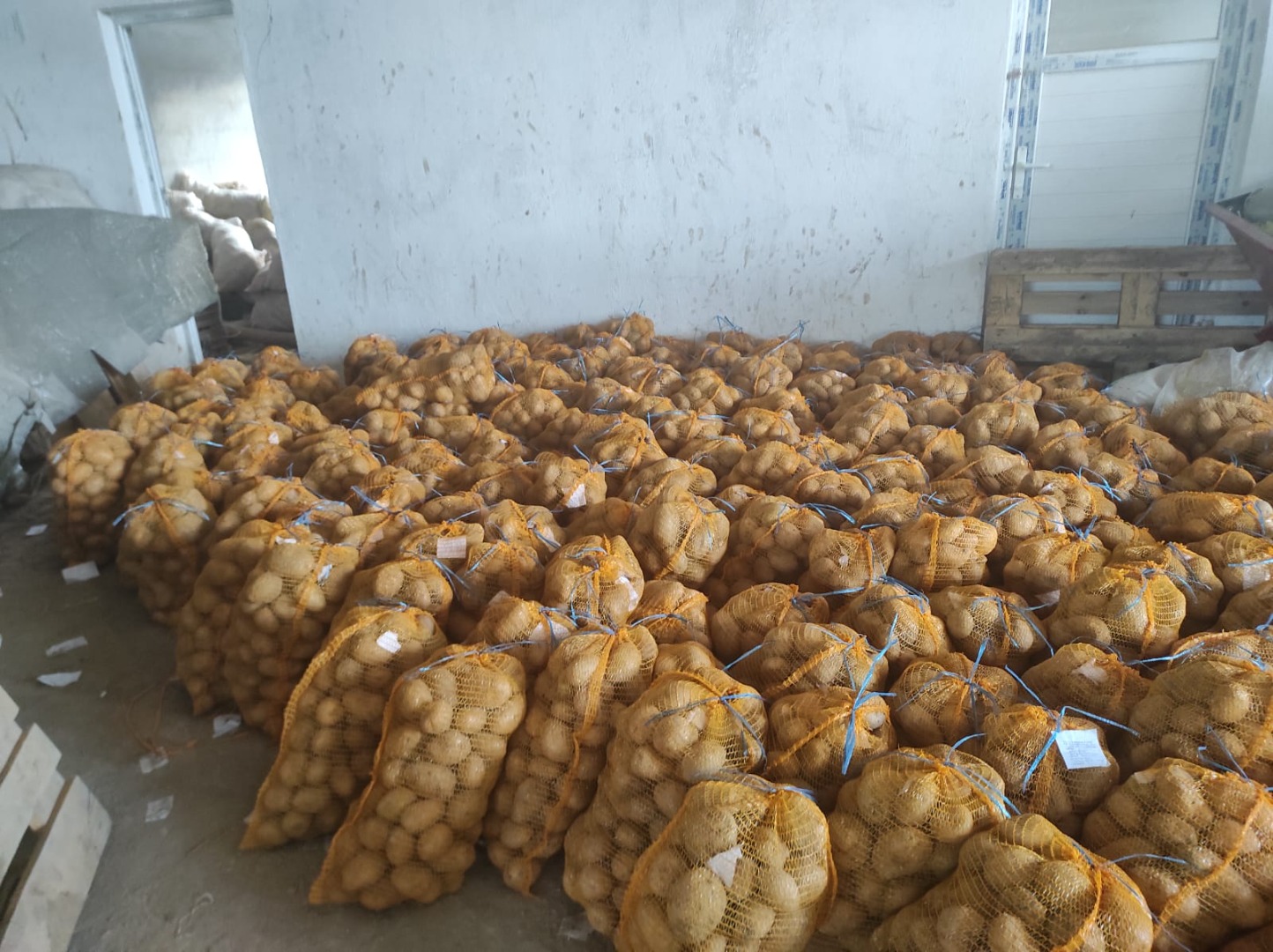 Jesteśmy producentami ziemniaków z Turcji