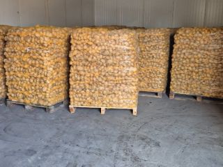 Witam sprzedam,example ziemniak pakowanego 10kg po szczotkach ładny czysty
