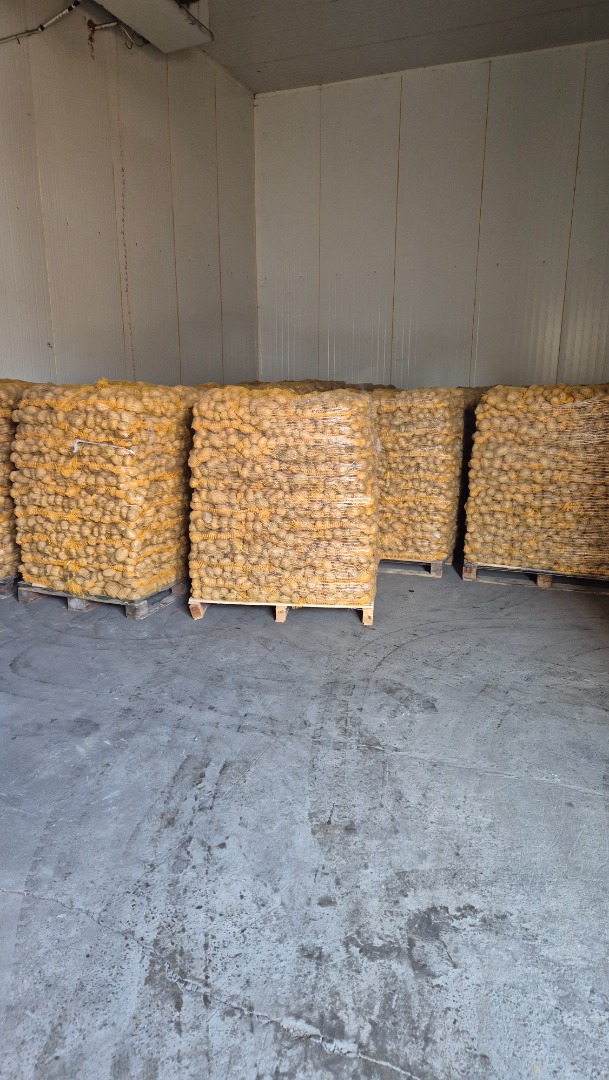 Witam sprzedam,example ziemniak pakowanego 10kg po szczotkach ładny czysty kontakt telefoniczny