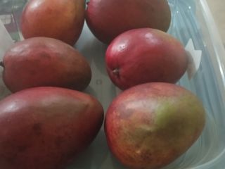 Najwyższej jakości organiczne mango, uprawiane z troską i największą