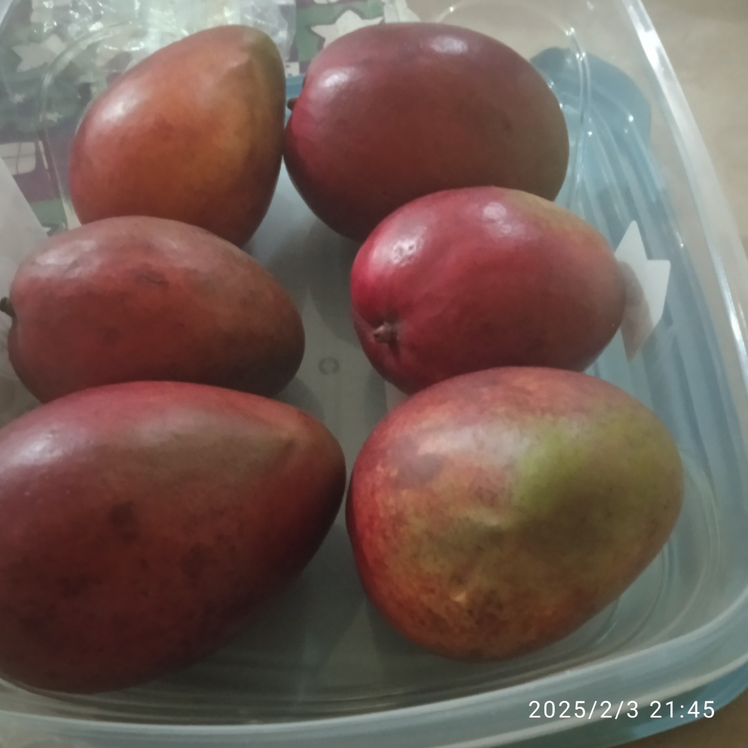 Najwyższej jakości organiczne mango, uprawiane z troską i największą pasją, to gwarancja niezrównanego produktu, ponieważ miejsce, w którym ten błogosławiony