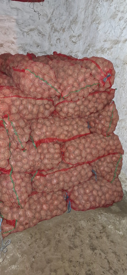Sprzedam ziemniaki konsumpcyjne odmiany Bellarosa, ilość 4500 kg, w workach 25 kg, cena 2 lej/kg