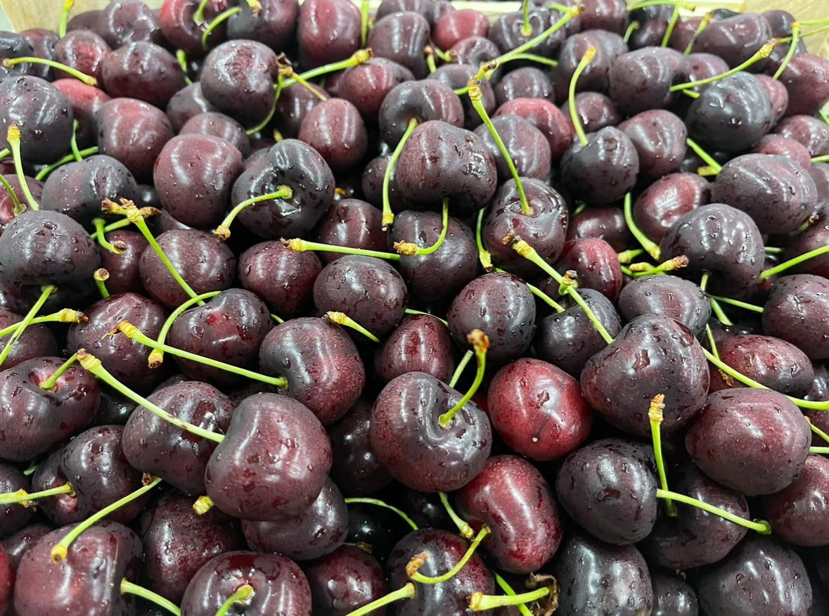 Początek sezonu 10 czerwca – 20 lipca Odmiana: Grace Star Sweet Valina Sweet Sarreta Kordia Regina Ferrovia Fertard Całkowita ilość 400 ton wiśni Linia