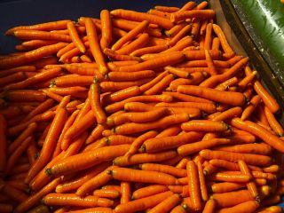 Sprzedam marchew myta na market oraz kilówki Posiadam duże