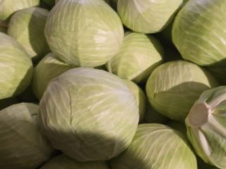 OFERUJĘ DO SPRZEDAŻY BIAŁĄ KAPUSTĘ POLSKĄ LUB NIEMIECKĄ. DOSTARCZAMY