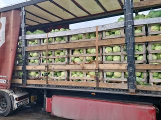 FIA GOGOT FRUIT GREECE SALONIK PRZYWRÓCI ŚWIEŻOŚĆ WARZYW Z