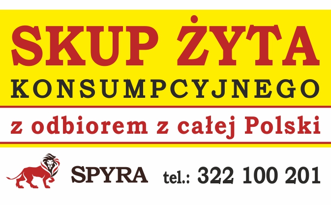 Skupujemy żyto o parametrach konsumpcyjnych: odmiany hybrydowe, dorodne i wyrównane ziarno, jednorodne i czyste partie min