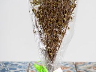 Oregano ORGANICZNE w pęczkach 30g Nasze oregano to oregano