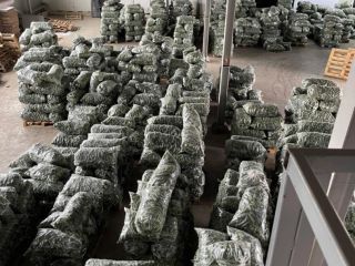Descriere: Świeże warzywa - Ogórki prosto z Rumunii! Rozpoczął
