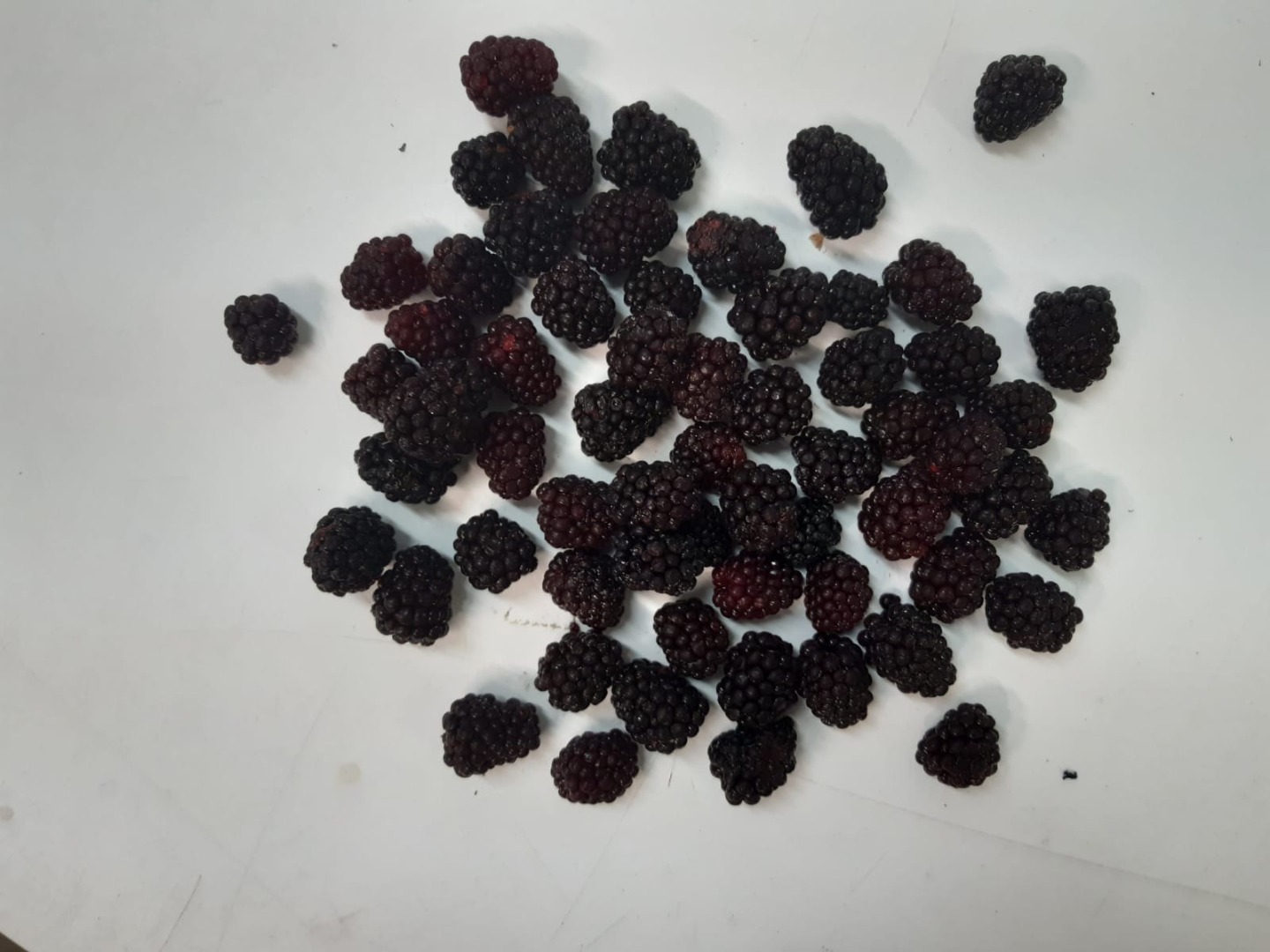 Sprzedam polską jeżynę mrożoną
