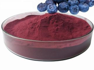 Wysokiej jakości produkt organiczny, wytwarzany z liofilizowanych owoców borówki
