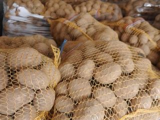 Sprzedam ziemniaki jadalne żółte i czerwone w ilościach hurtowych