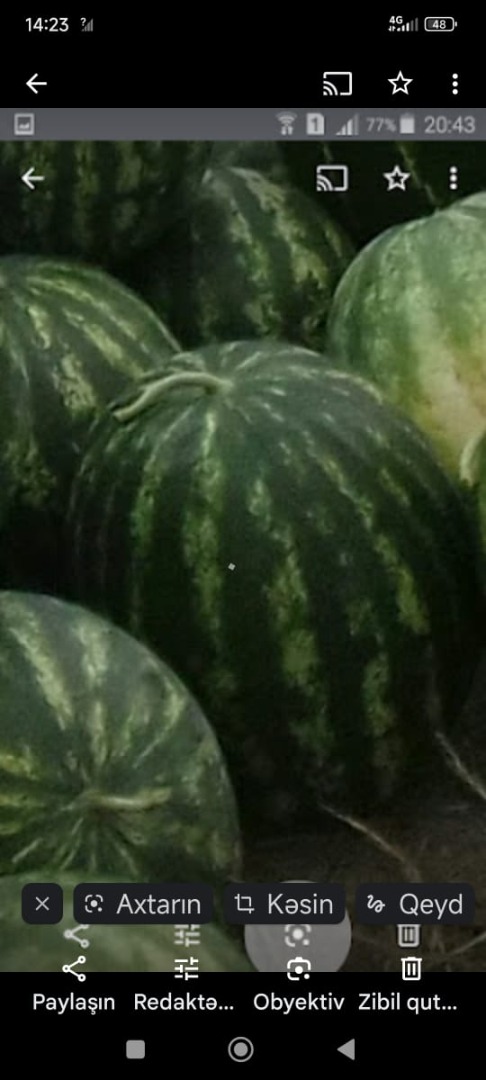 Produkt ekologiczny z Azerbejdżanu