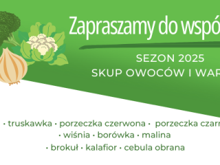 Chłodnia Agram S.A. w Lublinie zakupi rabarbar malinowy z