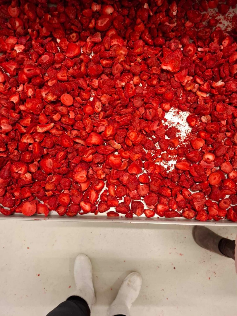Szanowni Państwo, Z przyjemnością przedstawiamy ofertę naszej firmy – Fruitful Investment, która jest największym producentem liofilizowanej żywności w Polsce