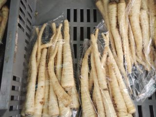 Pietruszka korzeniowa najwyższej jakości dostępna jest w ciągłej sprzedaży