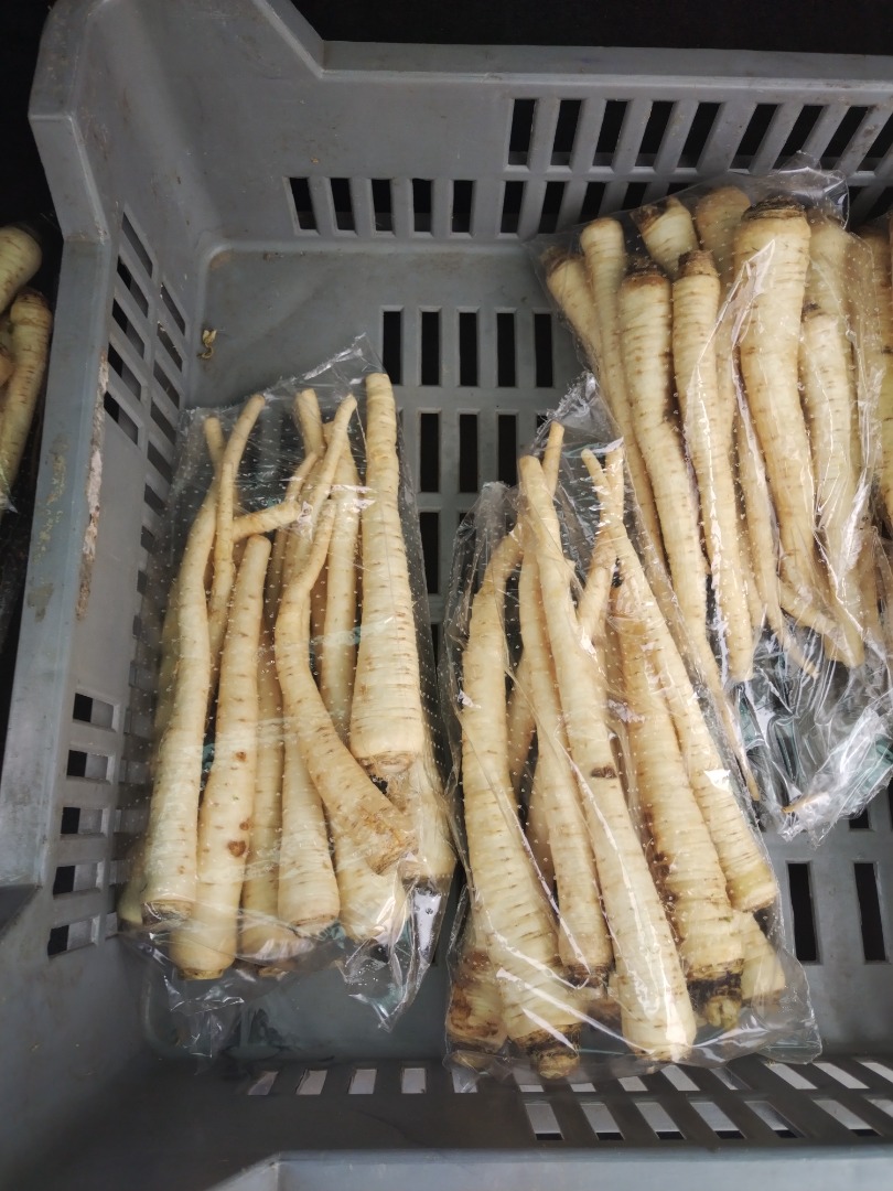 Pietruszka korzeniowa najwyższej jakości dostępna jest w ciągłej sprzedaży w opakowaniach 10 kg/#