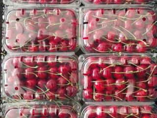 Hurtowa sprzedaż czereśni słodkich z Uzbekistanu, dostępna w różnych