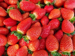 Witam, sprzedam 3 ciężarówki truskawki pochodzenia hiszpańskiego. Truskawka bardzo