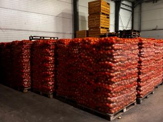 Sprzedam cebulę żółtą, workowana 15 kg 10 kg Big