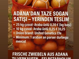 Sprzedajemy świeżą cebulę z Adany w Turcji Do odbioru