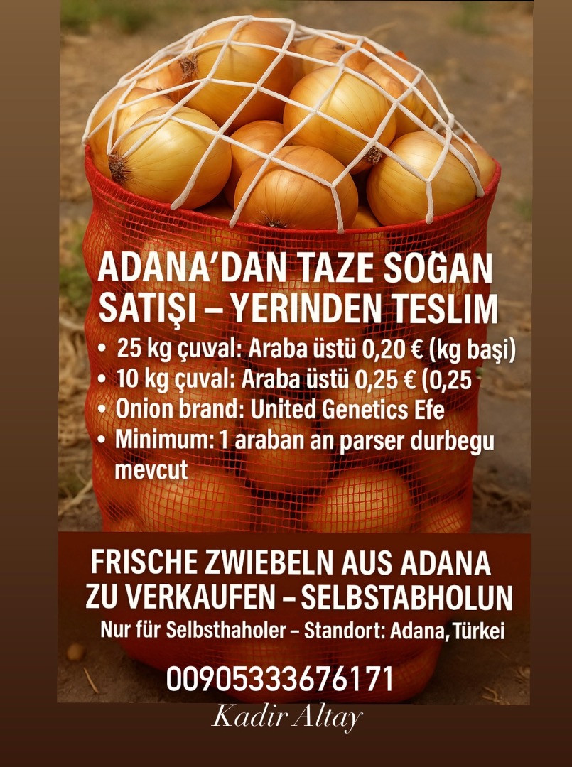 Sprzedajemy świeżą cebulę z Adany w Turcji Do odbioru osobistego