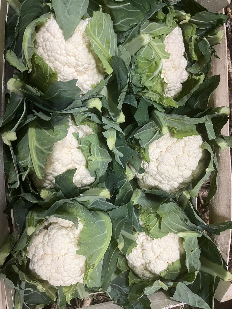 witam dostarczamy świeże warzywa i owoce z polski na terenie całych wegier zapraszamy do zapoznania się z oferta firmy