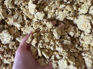 Makuch sojowy (GMO) w big-bagach – FCA Firma: Prodtex,