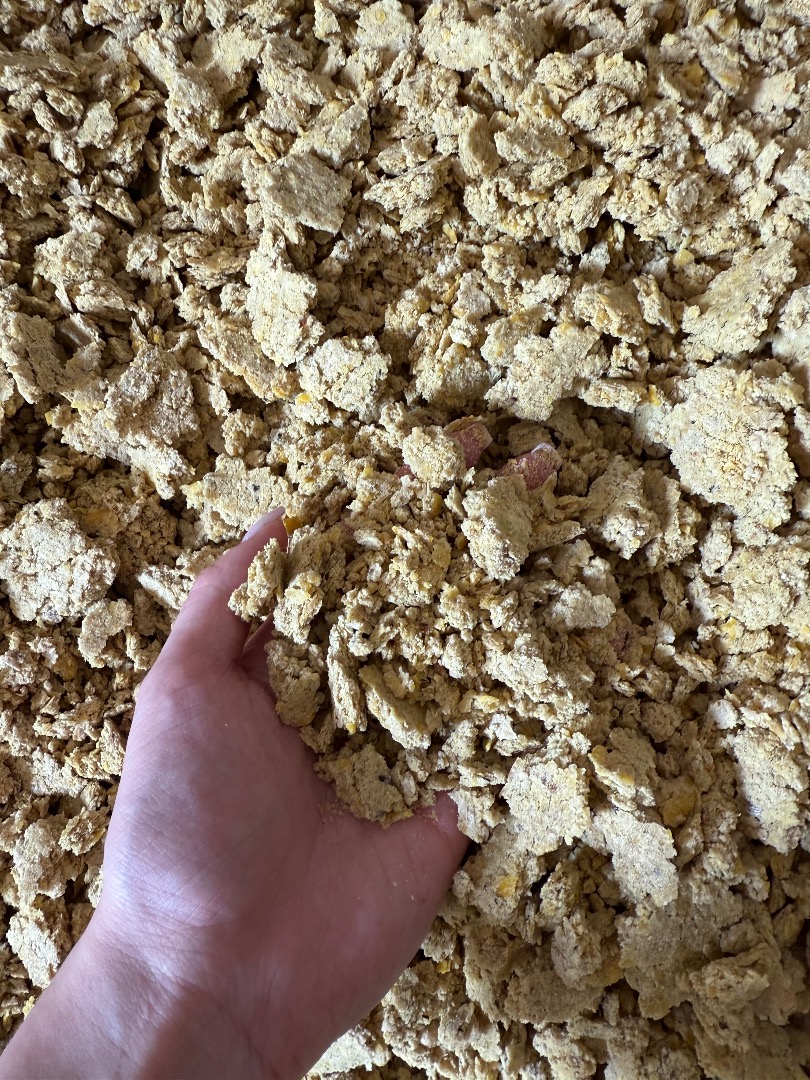 Makuch sojowy (GMO) w big-bagach – FCA Firma: Prodtex, Chmielnicki, Ukraina Produkt: Makuch sojowy (GMO) Opakowanie: Big-bagi Ilość: 20-22 ton na ciężarówkę