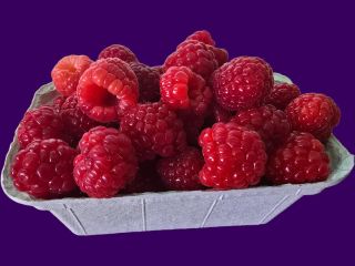 Guten Tag, wir verkaufen Himbeeren der Sorte ENROSADIRA von