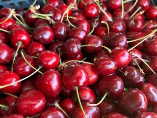 Sprzedam czereśnie czarne 20 skrzynek po 5kg każda czereśnia