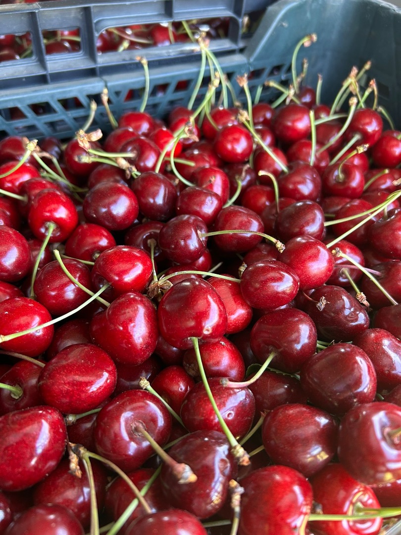 Sprzedam czereśnie czarne 20 skrzynek po 5kg każda czereśnia polska, duża bardzozdrowa i słodka, nie pryskana ekologiczna