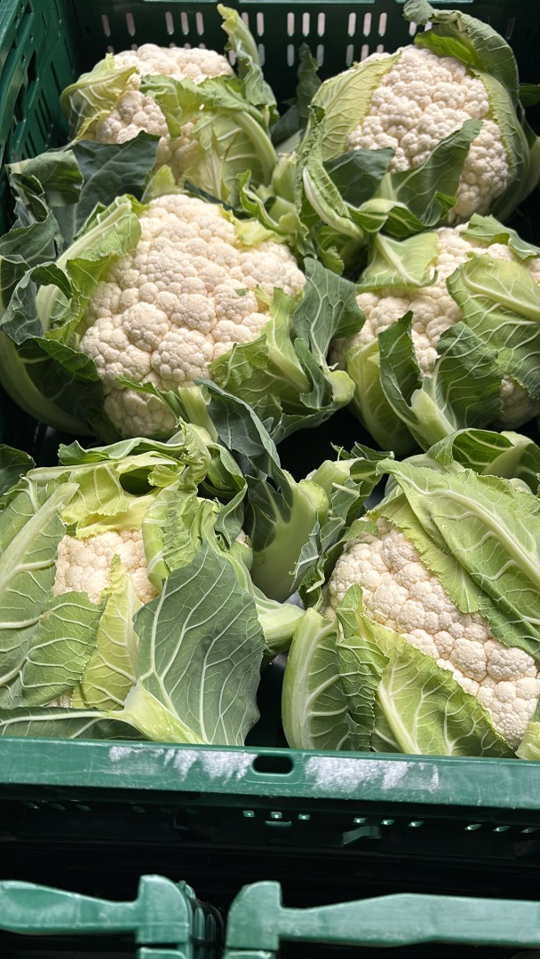Do sprzedania świeży kalafior 6szt/karton Paleta/65kartonów Lokalizacja: Prinsenbeek, Noord Brabant, Holandia Kontakt: Jacek