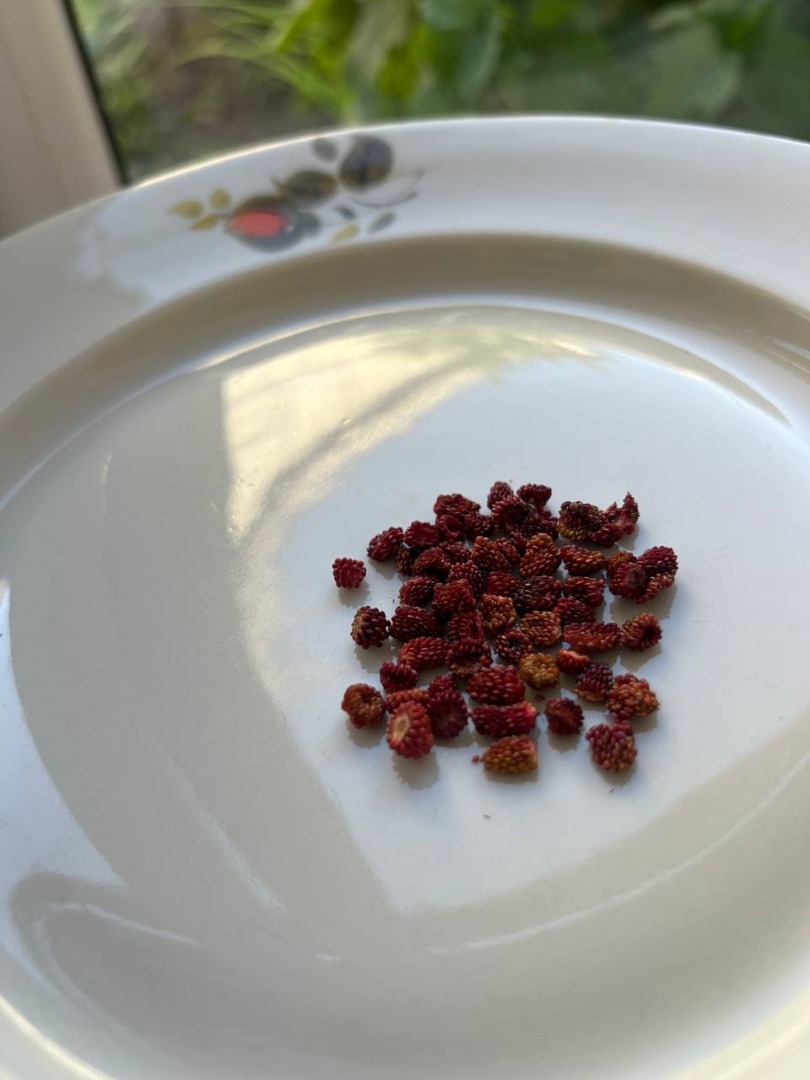 Poziomka suszona 100 gram-15e napisz o cenę