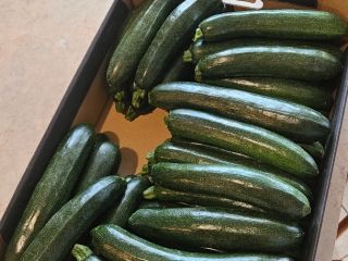 Mam na sprzedaż cukinie odmiany Rhodos Zefiros Cora. Market