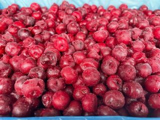 Продаем замороженную вишню без косточки, коробки на 10 кг.