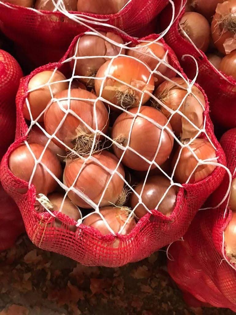 Cebula żółta, czerwona lub biała