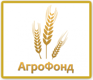LLC “AGRO FOND” FCA 80-600 Brody, Ukraina Soja GMO Białko: 33% Warunki: • FCA – 380 USD/t luz na pociągu; big bag 385 USD • DAP granica – 388 USD/t luzem
