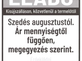 H: Sezonowa, świeżo zbierana czerwona cebula na sprzedaż bezpośrednio