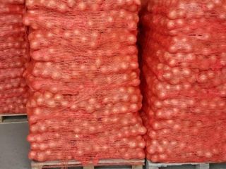 We have 22 tons of yellow onions available for