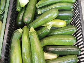 Sprzedam cukinię Różne odmiany Landa świeża Jeśli chodzi o