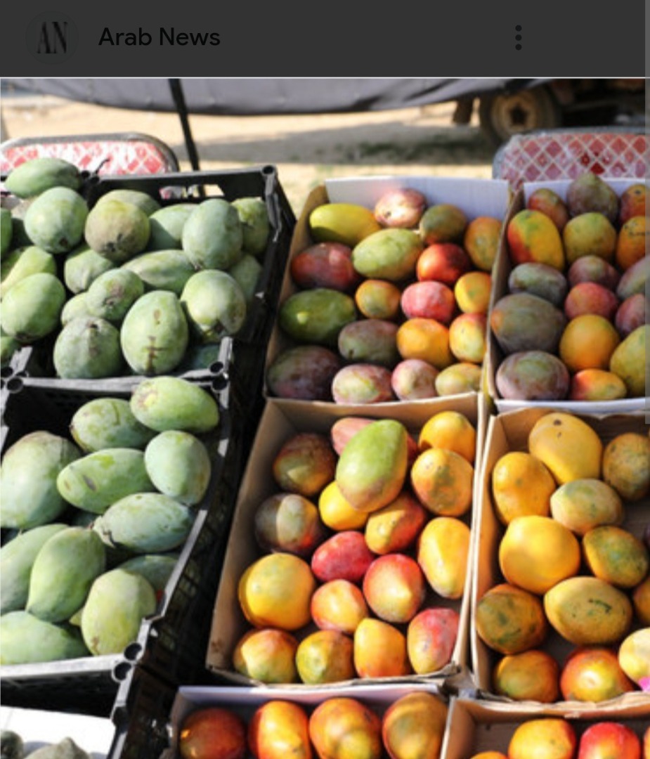 Sprzedaję egipskie mango, najlepsze na świecie