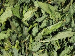CAŁE LIŚCIE MOCNY AROMAT NATURALNY ZIELONY KOLOR SUSZENIE NA