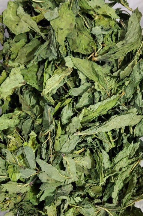 CAŁE LIŚCIE MOCNY AROMAT NATURALNY ZIELONY KOLOR SUSZENIE NA POWIETRZU