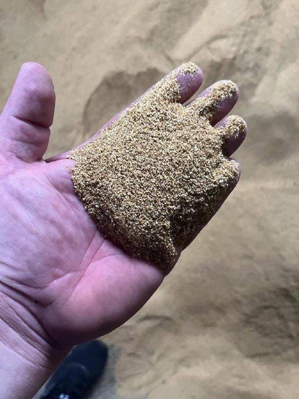 Sprzedaję DDGS (suszone zboża gorzelniane z substancjami rozpuszczalnymi) – białko do pasz dla zwierząt Produkt naturalny, powstający w wyniku fermentacji
