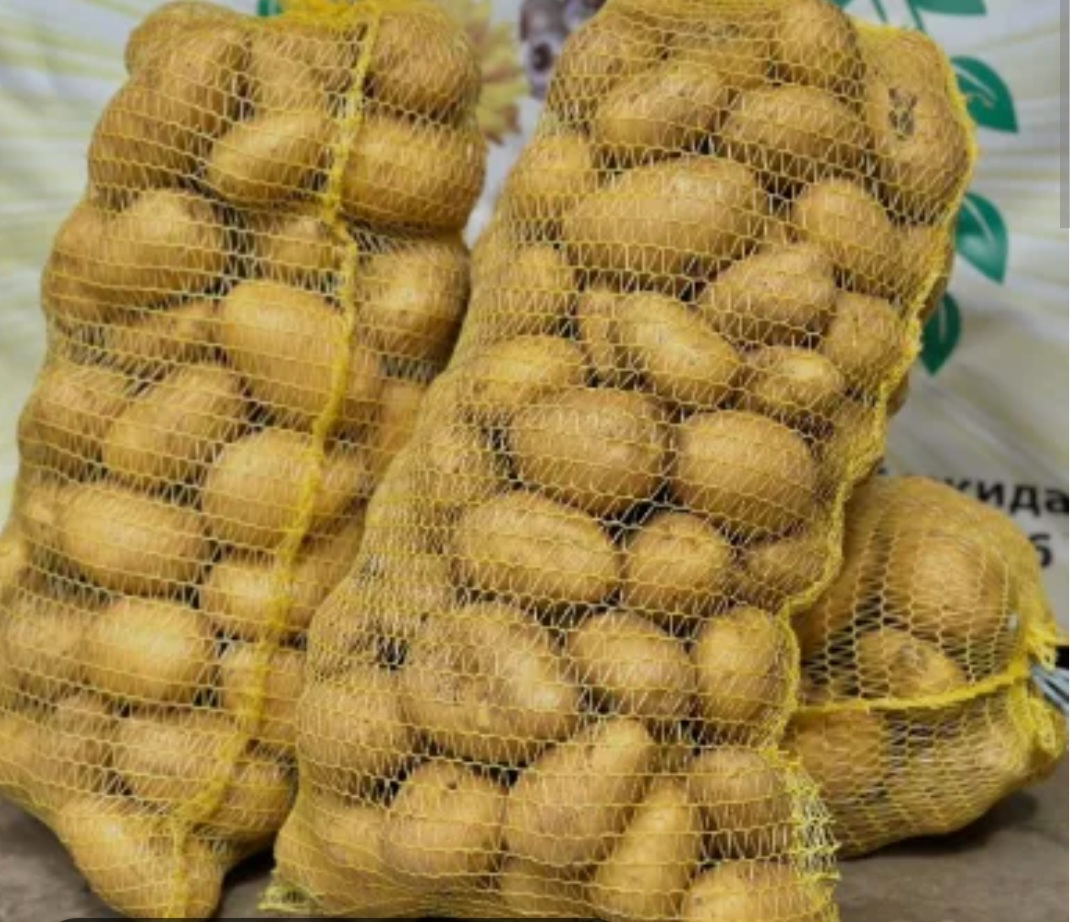 ❗️❗️❗️Witam, sprzedam ziemniaki Soraya od producenta