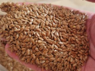 Oferujemy owies ekologiczny-biosuisse, 50 ton, wysoka jakość, cena zgodna