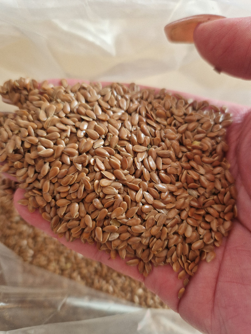 Oferujemy owies ekologiczny-biosuisse, 50 ton, wysoka jakość, cena zgodna z cenami hurtowymi z ostatnich 4 tygodni