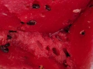 Sprzedaję arbuzy odmiany Sinfonia i melony odmiany Karpathos w